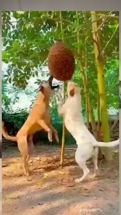 Featured post 2