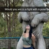 Creator avatar
