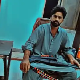 Shatabdi Sadam Palari profile image