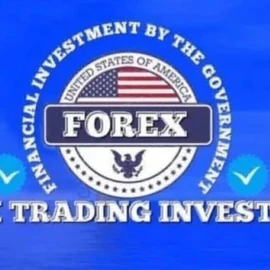 Expert Trader profile image