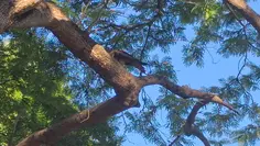 Featured post 2