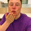 Creator avatar