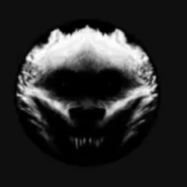 lofy profile image