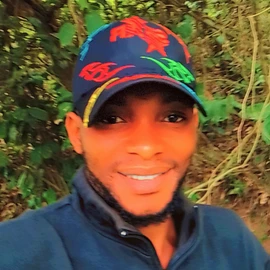Samuel Ochoche profile image