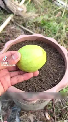 Featured post 1