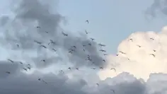 Featured post 2