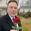 Creator avatar