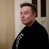 Creator avatar