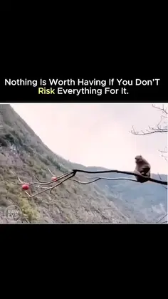 Featured post 1