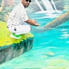Creator avatar