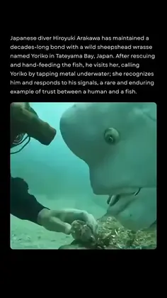 Featured post 1