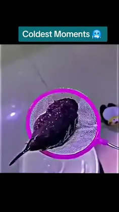 Featured post 8