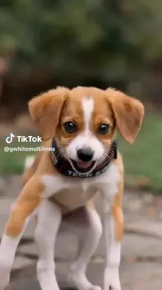 Featured post 1