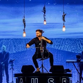 Hauser cello profile image