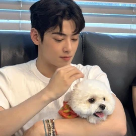 chan Eun woo profile image