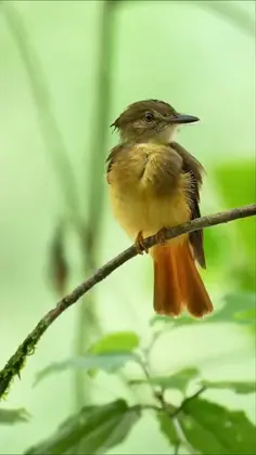 Featured post 6