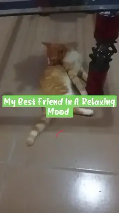 Featured post 5