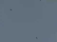Featured post 3