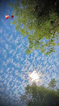 Featured post 1