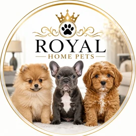 RoyalHomePets profile image