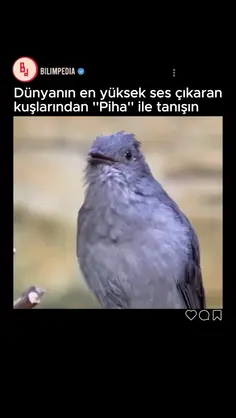 Featured post 5