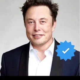 ELON MUSK VIEW profile image