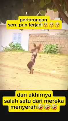 Featured post 1