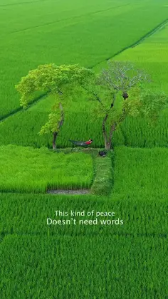 Featured post 2