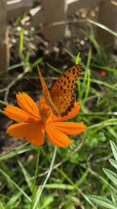Featured post 4