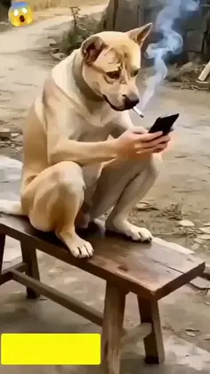 Featured post 3