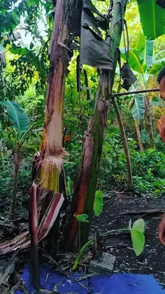Featured post 3