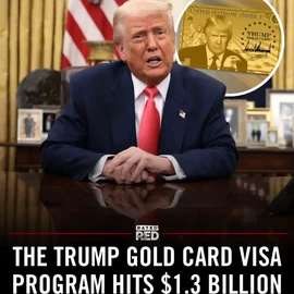 trumpgoldcard profile image