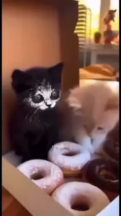 Featured post 1