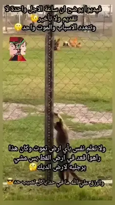 Featured post 8