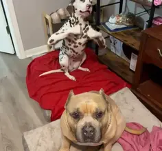 Featured post 1