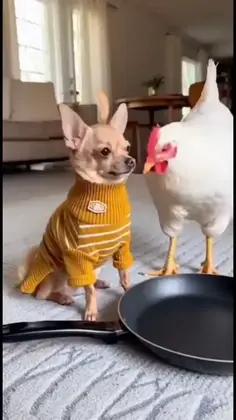 Featured post 1