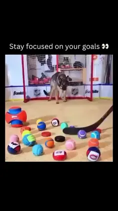Featured post 8