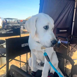 Kevin Costner profile image
