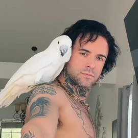 Tyler Ryan profile image