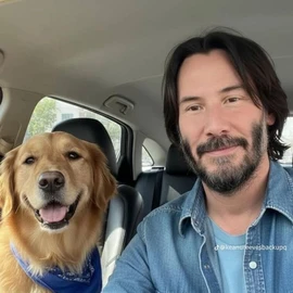 Keanu reeves profile image