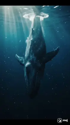 Featured post 4