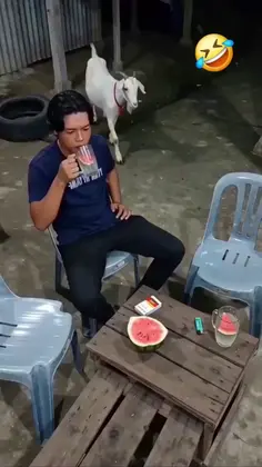 Featured post 5