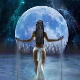 moonlight tarot profile image