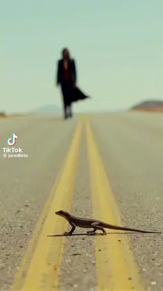 Featured post 6