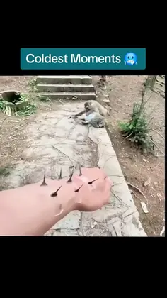 Featured post 8