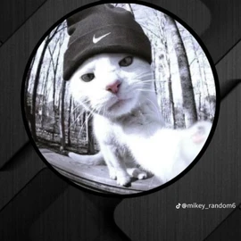 Kylewealth profile image
