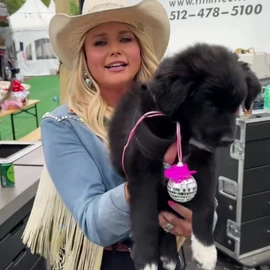 Miranda Lambert profile image