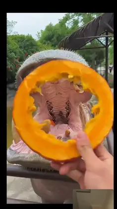 Featured post 1
