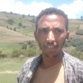 Muliye Teshome profile image