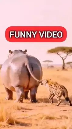 Featured post 5